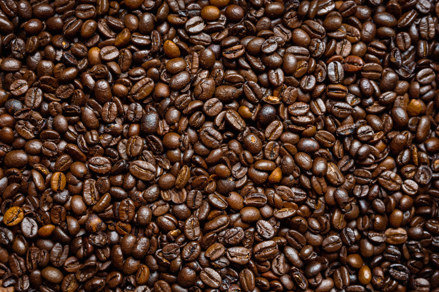 House Blend
